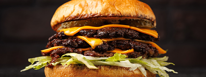 Burgers category header image